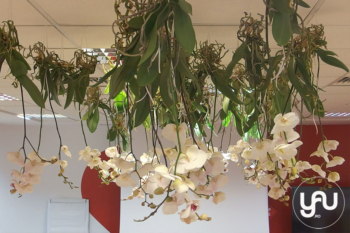 yau events 2015_cranjul cu flori albe de la birou - pentru DORNA ROMANIA _ orhidee_hortensii (8)